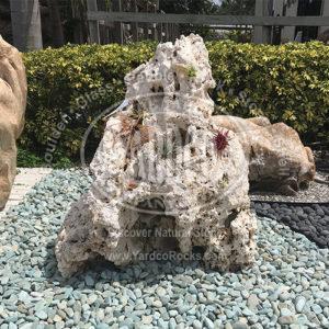 Holey Limestone Boulder