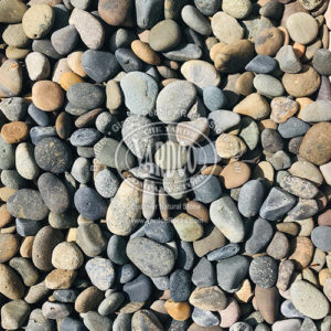 A close-up of Imported Mexican Mixed Beach Pebble Stones measuring .75 inches in size