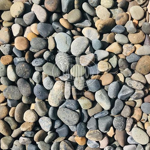 Mexican Beach Pebble Mixed Yardcorocks Com