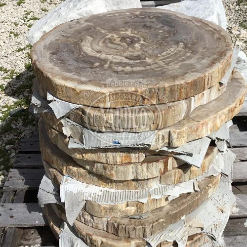 Petrified Wood Paver
