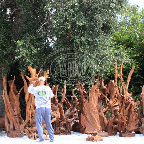 Teak Driftwood Large