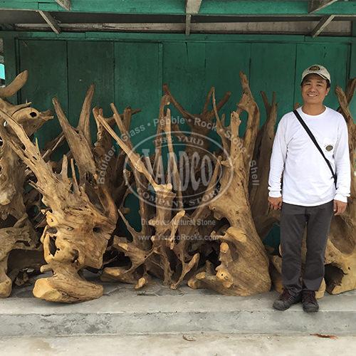 Teak Driftwood Standing Large