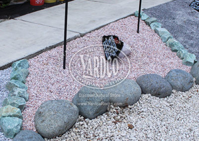 Vietnamese Pink Chat Gravel Pebble on display with Mexican Pineapples